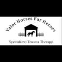Valor Horses for Heroes