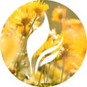 Full Leaf Tea Company