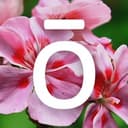 doTERRA Essential Oils